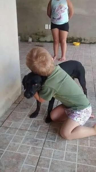 Cachorro ra a SRD idade 1 ano nome PRETO