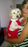Belinha