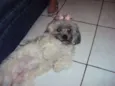 Princesa