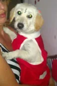 Belinha