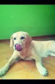Zoe