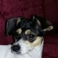 Kika
