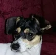 Kika