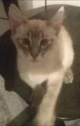 Fred