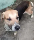 Zé