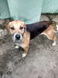Zé