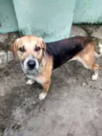Zé
