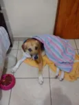 Zé