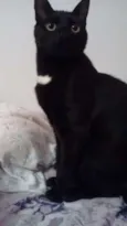 antonio