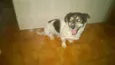 Desconhecido