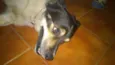 Desconhecido