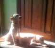 Meiga e Senhorita