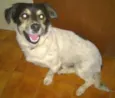 Desconhecido