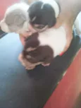 Ainda nao Tem nome