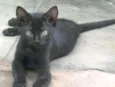 Pepa