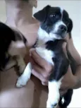 bolt e belinda