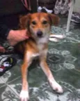 Bina 