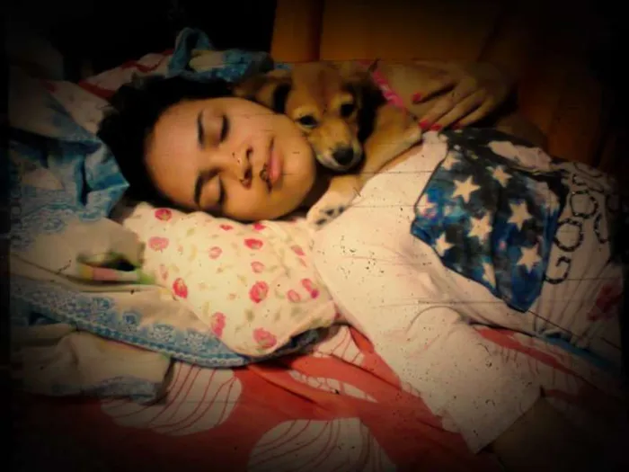 Cachorro ra a Vira lata  idade 1 ano nome Bina 