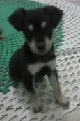 Sem nome