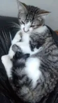 Bob