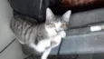 Bob