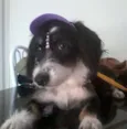Magali