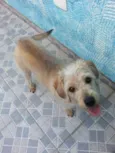 Lola