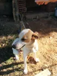 ralfe