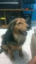 Jack