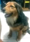 Jack