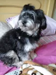 Mayla
