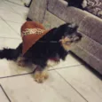 Mayla