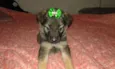 july bebe