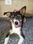 Lunna
