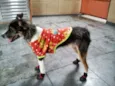 Lunna
