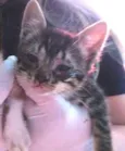Margo