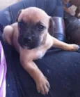 Kevin