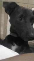 Thor e Kali