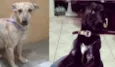 Thor e Kali