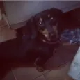 Bobby