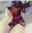Bobby