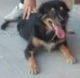 faisca