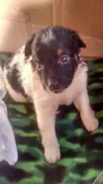 Lupita