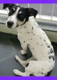Julieta