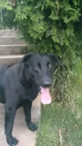Barão