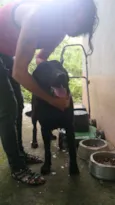 Barão