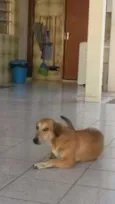 FOFINHA