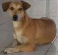 FOFINHA