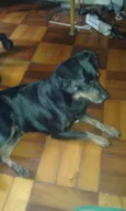 Preto