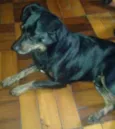 Preto